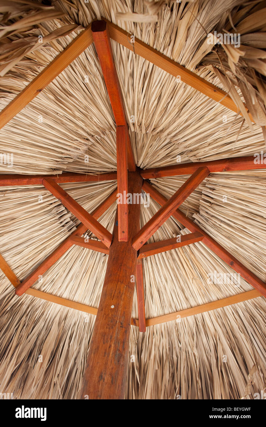 Palm leaf beach umbrella hi-res stock photography and images - Alamy