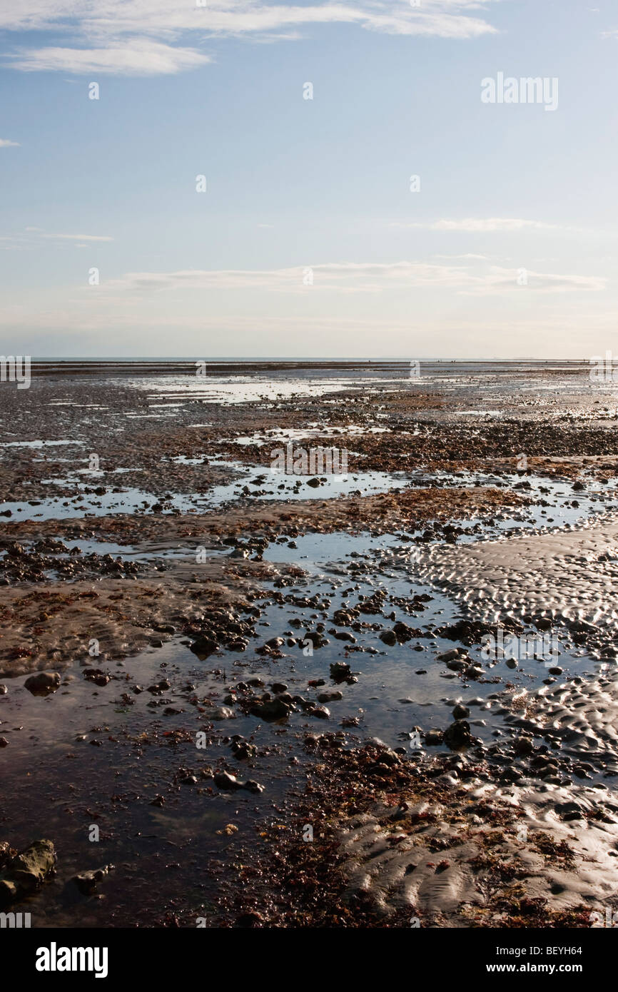 Low tide on the beach in Littlehampton, West Sussex Stock Photo Alamy