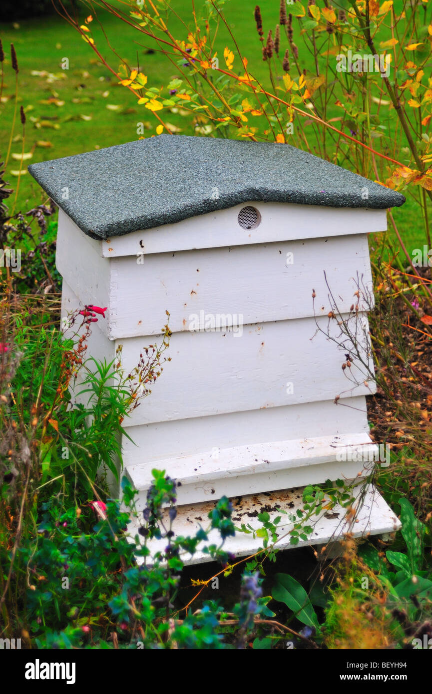 Bee Hive Stock Photo