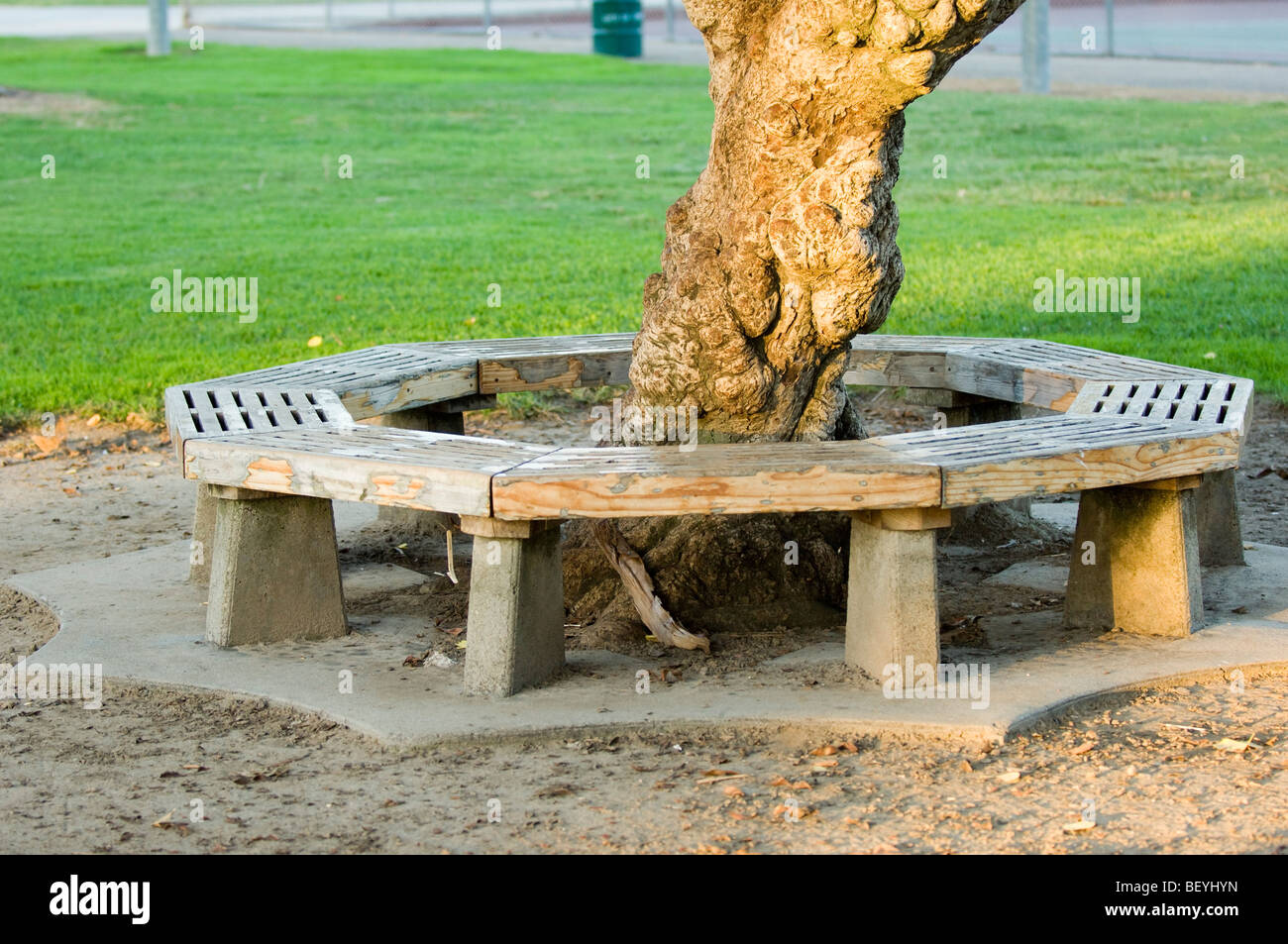 A round bench constructed around the trunk of a very old tree in a public park.  This is located at Hart Park in Orange, CA Stock Photo