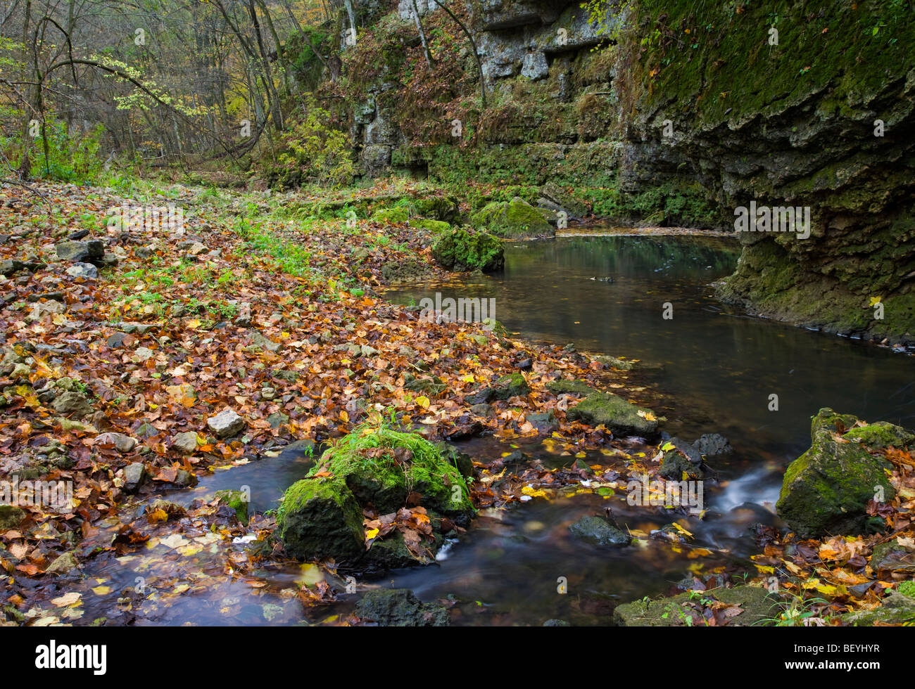 creek, White Pine Hollow State Preserve, Dubuque County, Iowa Stock