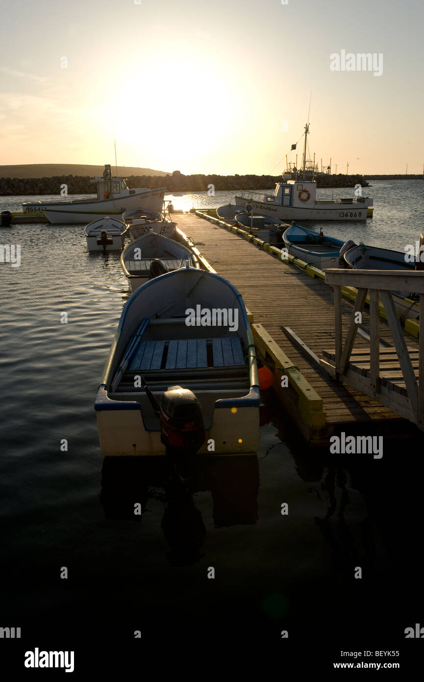 Old perlican hires stock photography and images Alamy