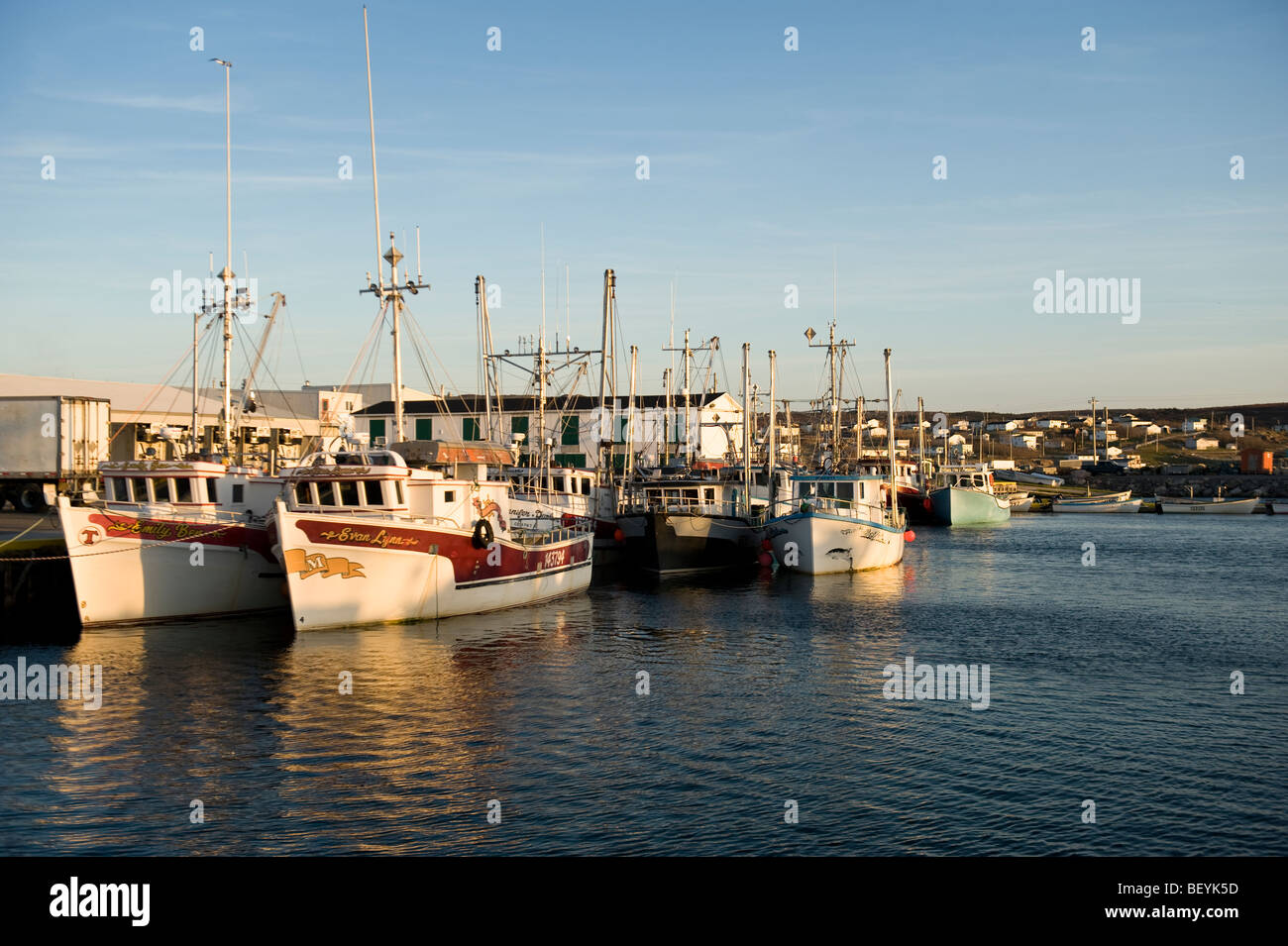 Longliners at sunset in Old Perlican, Newfoundland, Canada Stock Photo