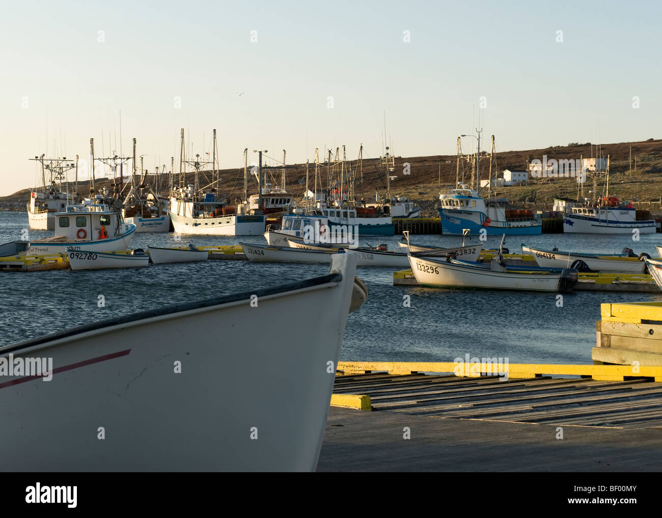 Old perlican hires stock photography and images Alamy