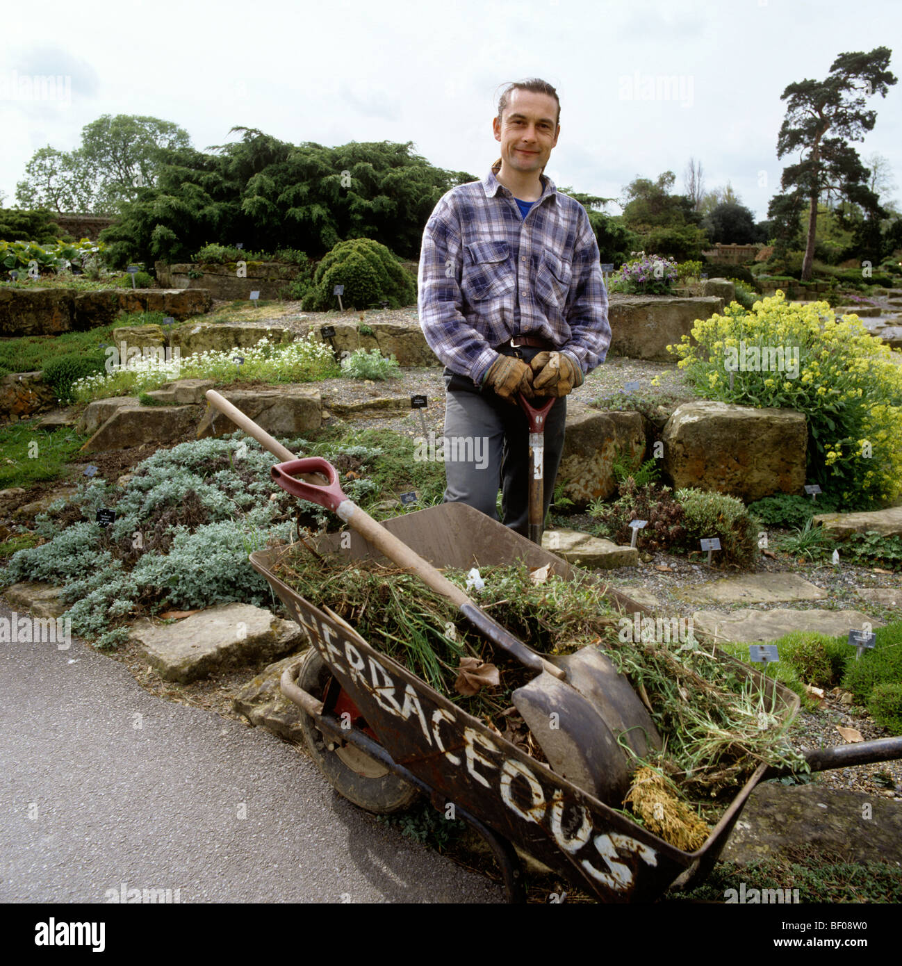 Good for rock gardens hires stock photography and images Alamy
