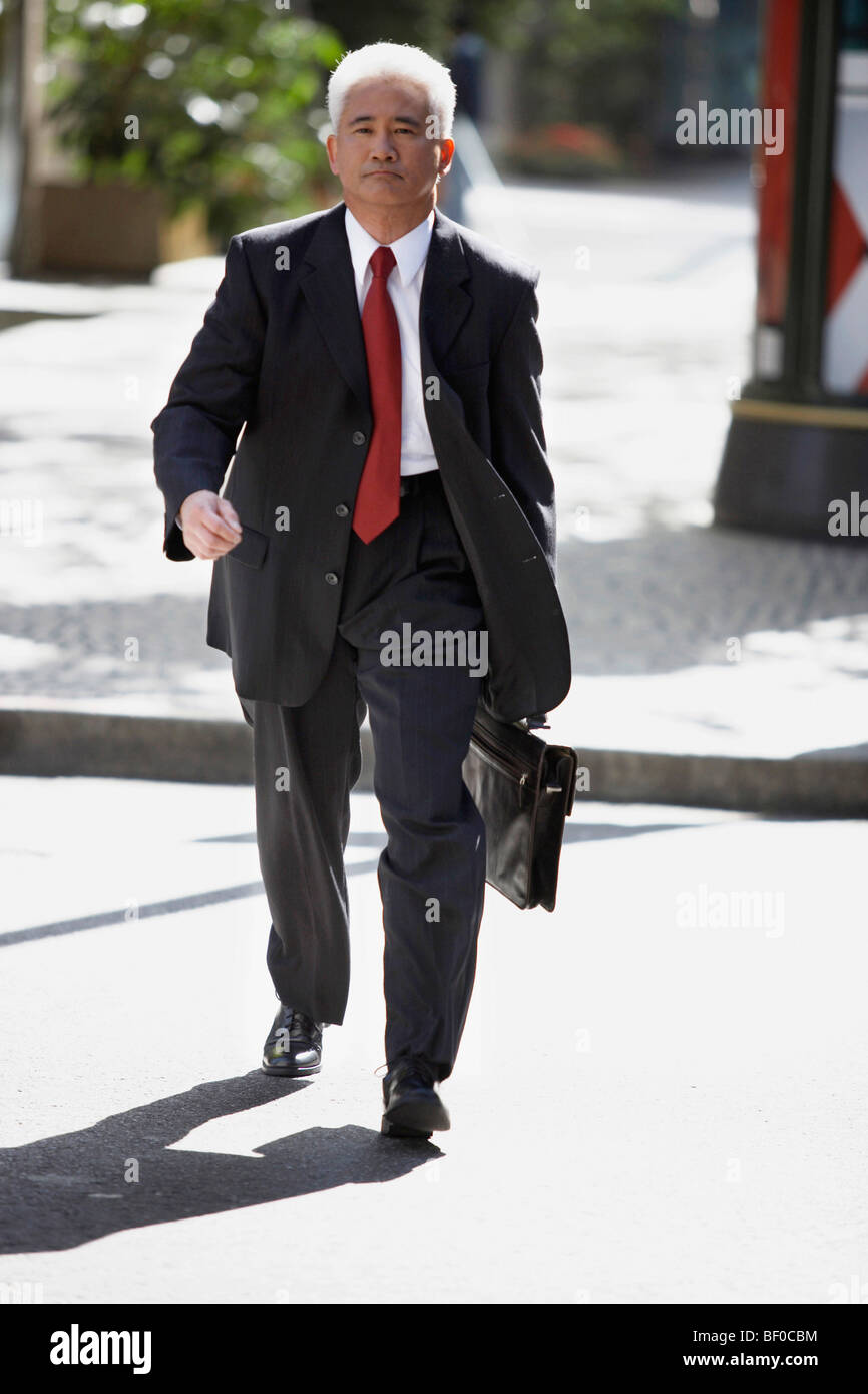 Portrait of a businessman carrying a briefcase Stock Photo - Alamy