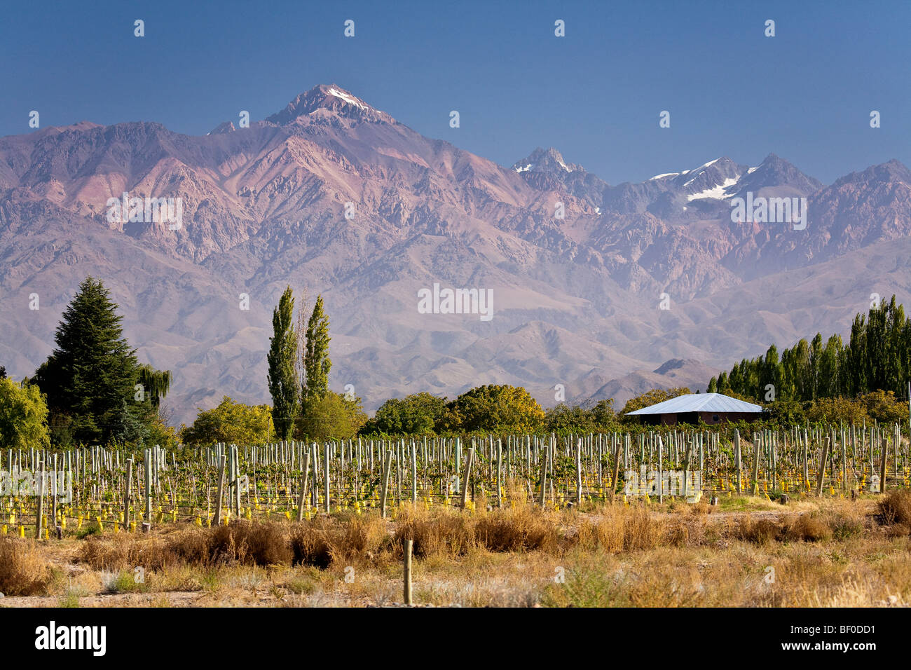 Posada Salentein, Uco Valley, Tupungato, Mendoza province, Argentina Stock Photo