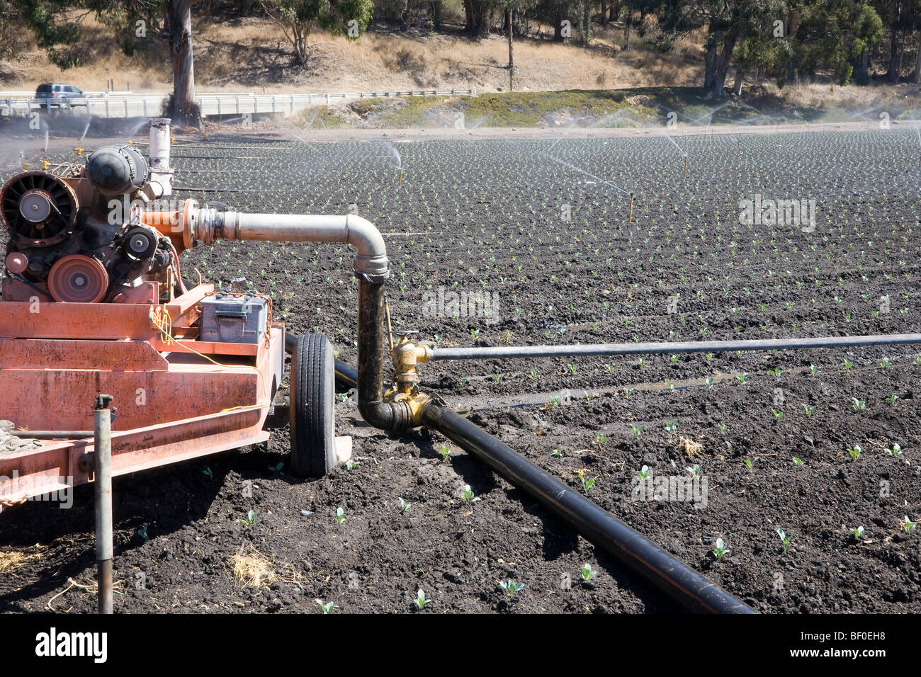 Irrigation plant in action, Lompoc in California, USA Stock Photo