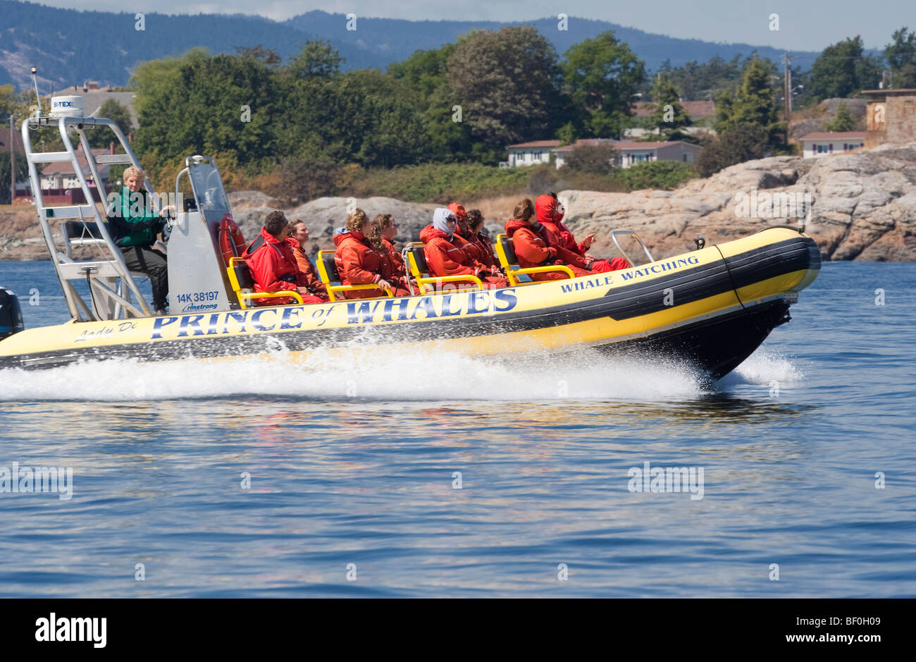 People enjoying Ride with Inflatable Boat Victoria, Vancouver Island