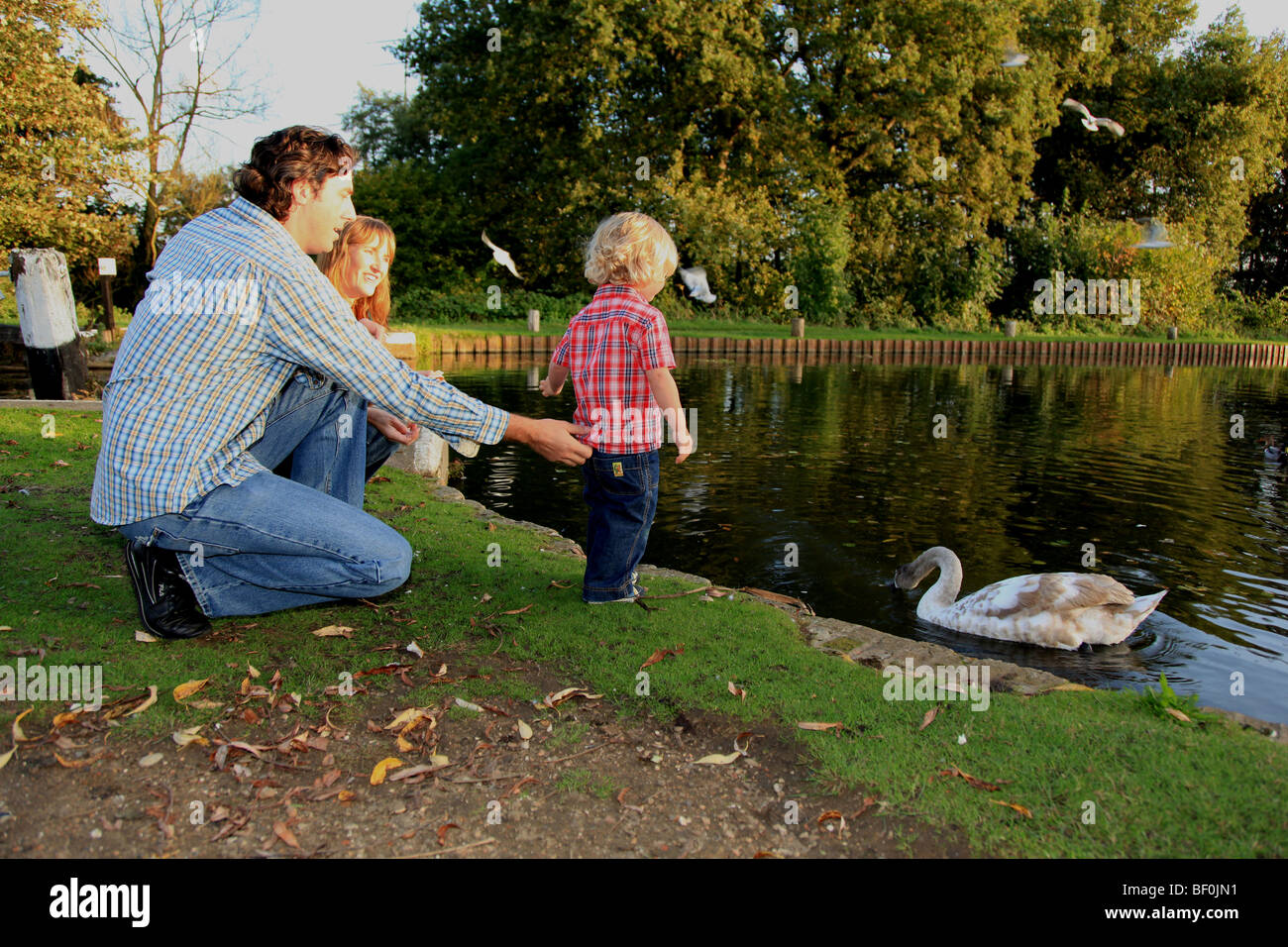 Mum And Dad With Toddler Son Stock Image Mum And Dad With Toddler Son Stock Image