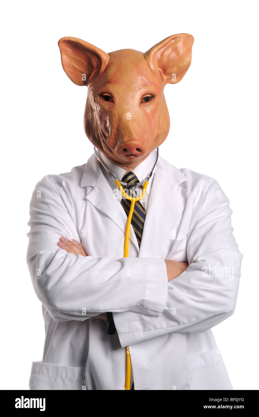 Swine Flu concept - Doctor with pig's head isolated over white background Stock Photo