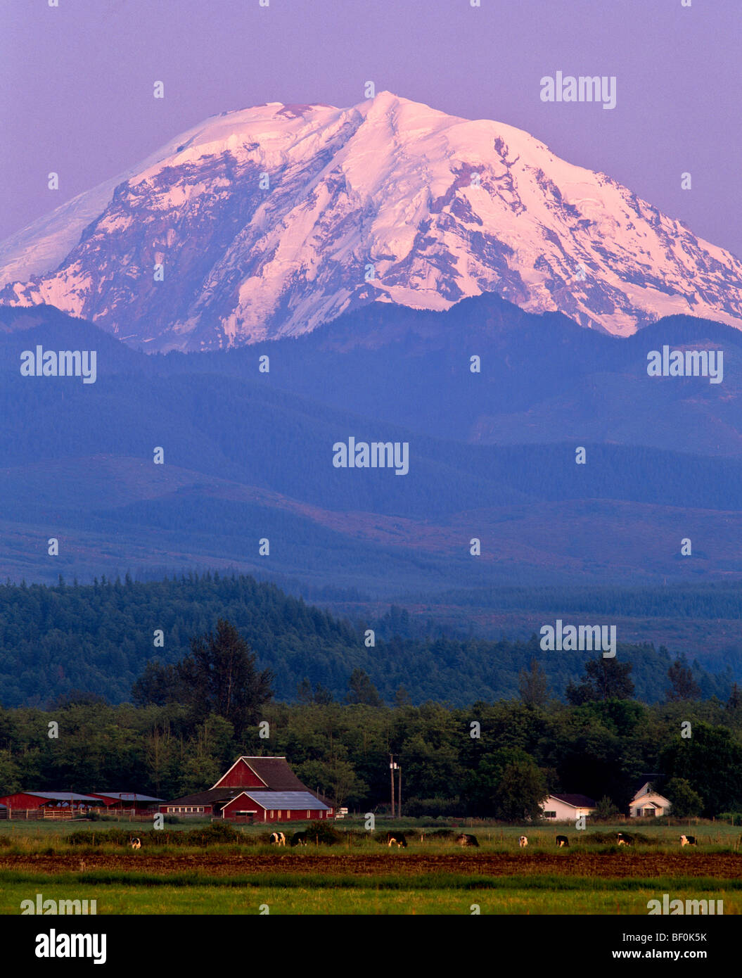 View of Mt. Rainier at sunset, King county, near Enumclaw, Washington Stock Photo