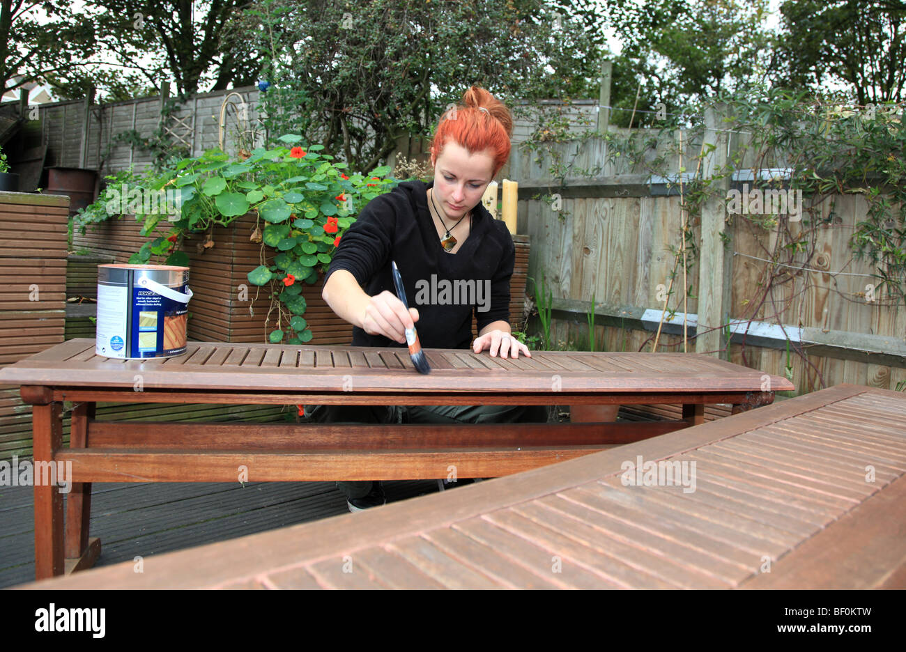 Woman staining teak garden furniture Stock Photo Alamy