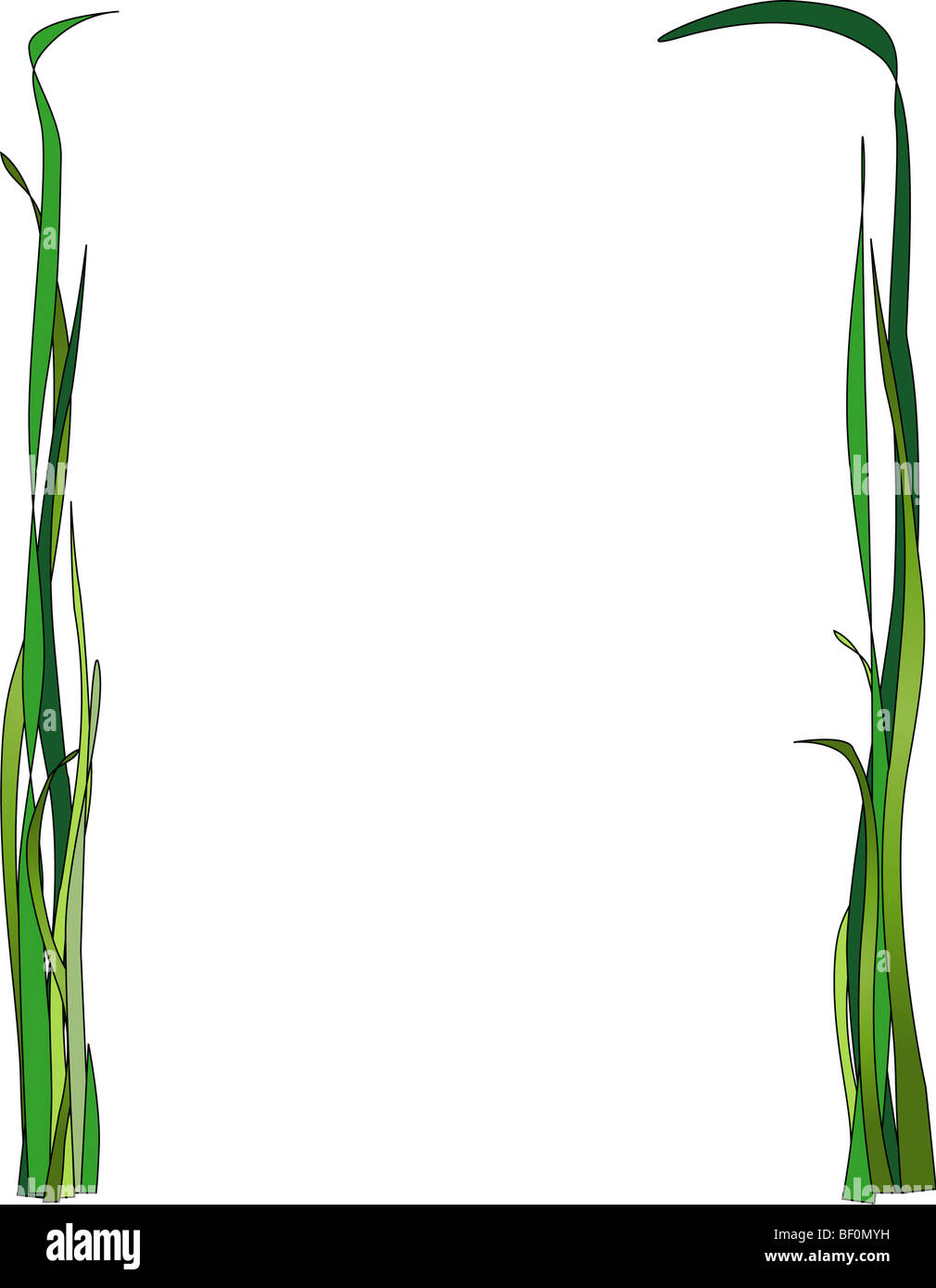 Illustration of blades of grass framing a page Stock Photo Alamy