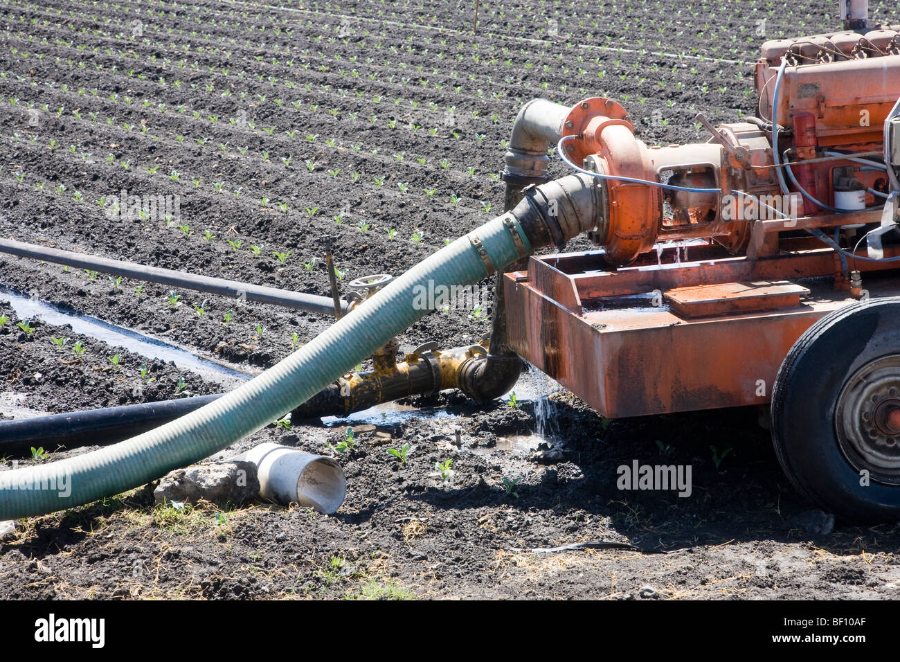 Irrigation plant in action, Lompoc in California, USA Stock Photo