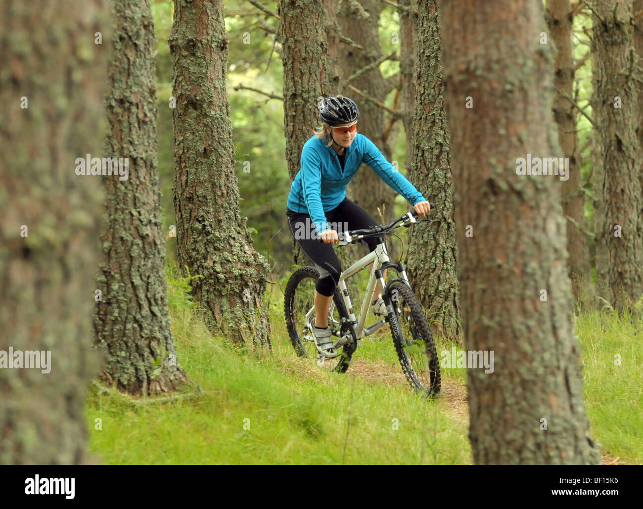 Friends cycling on a purpose built cross country mountain bike course Stock Photo
