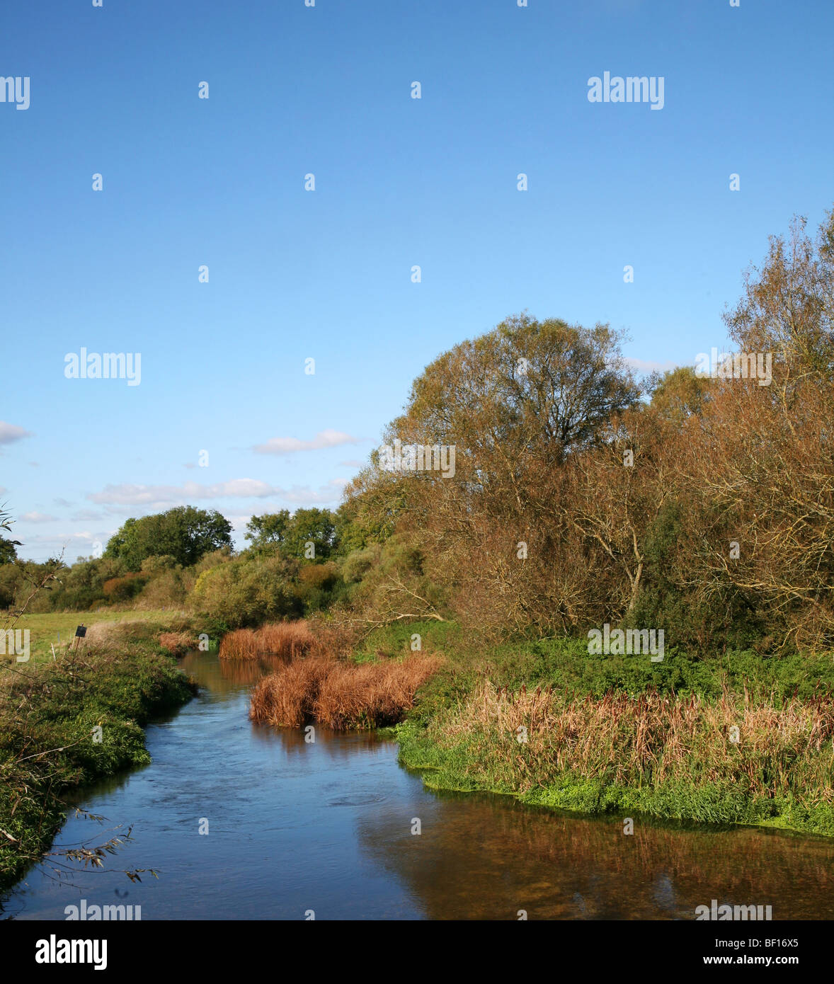 Sturminster Marshall - The River Stour in tranquil autumnal mood, viewed from White Mill Bridge Stock Photo