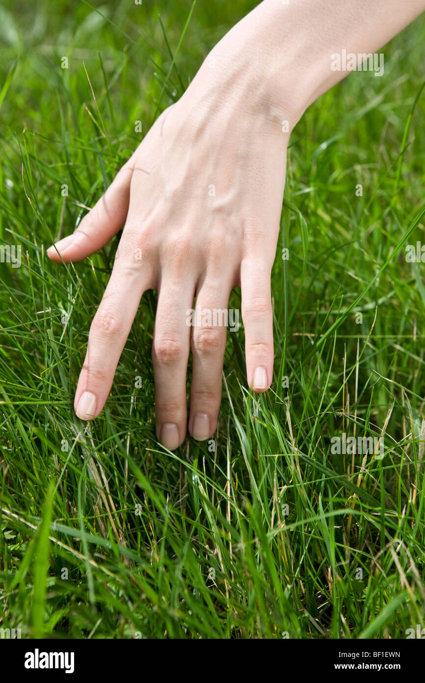 Hand touching grass hi-res stock photography and images - Alamy