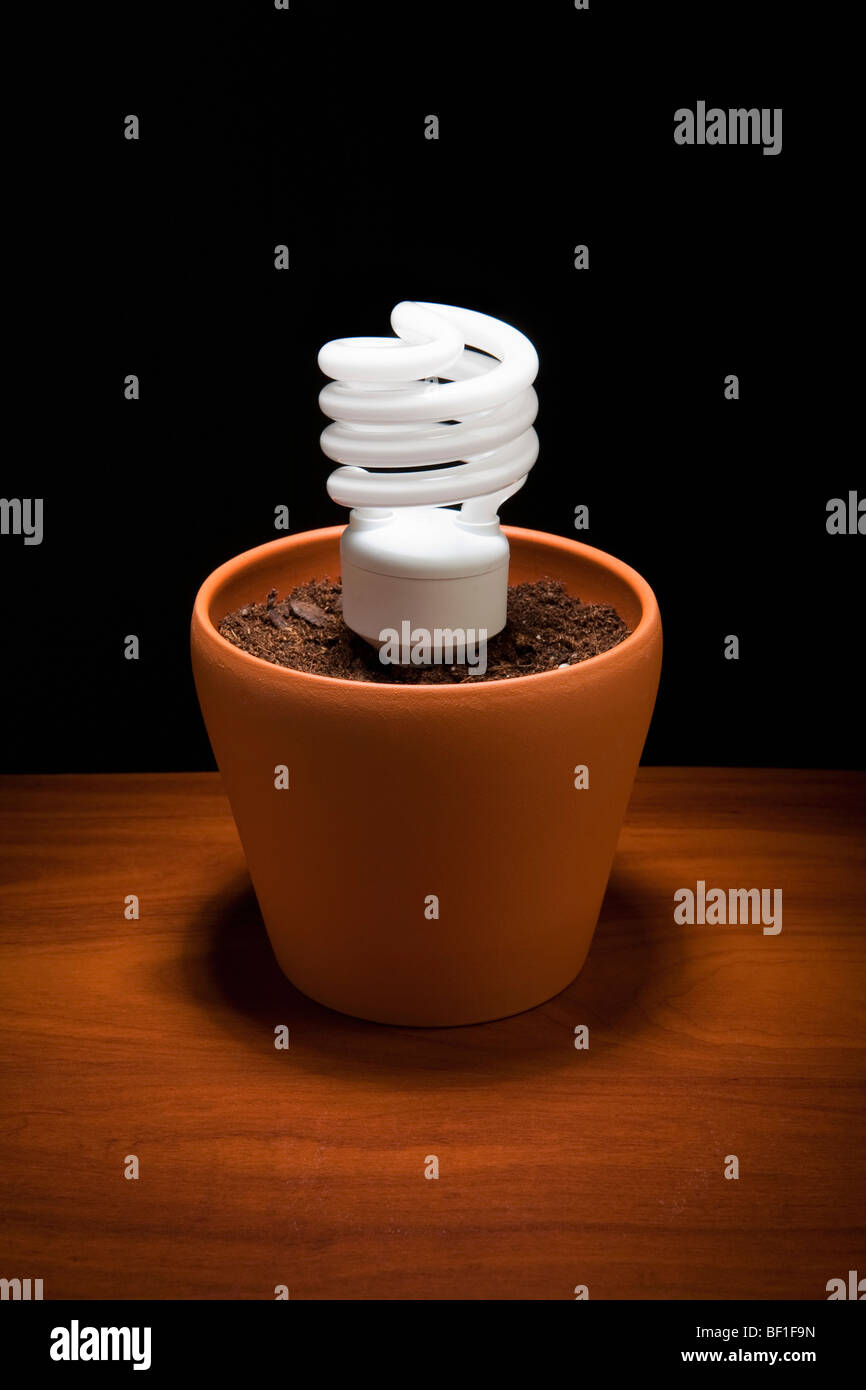An energy saving light bulb in dirt in a flower pot Stock Photo