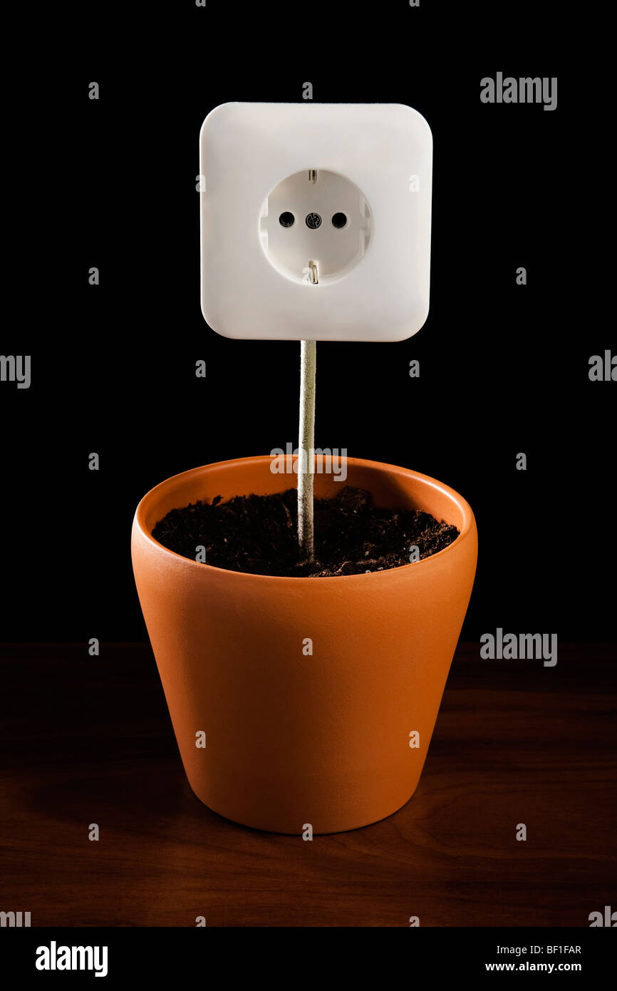 An outlet in dirt in a flower pot Stock Photo