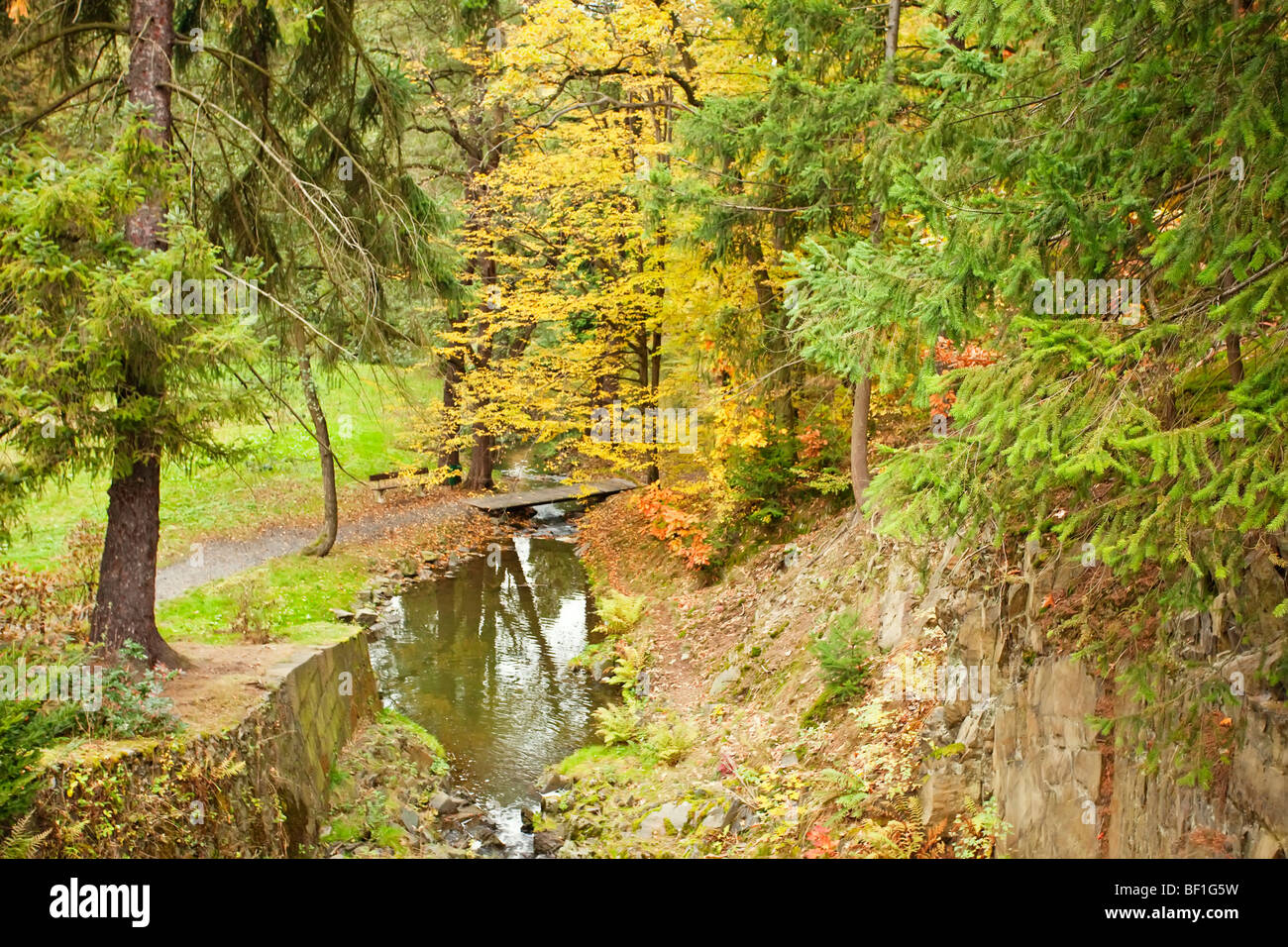 River in the autumn forest Stock Photo - Alamy