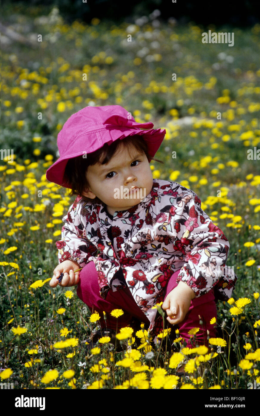 Faustine 16 months old playing in a yellow wild flower field Stock Photo