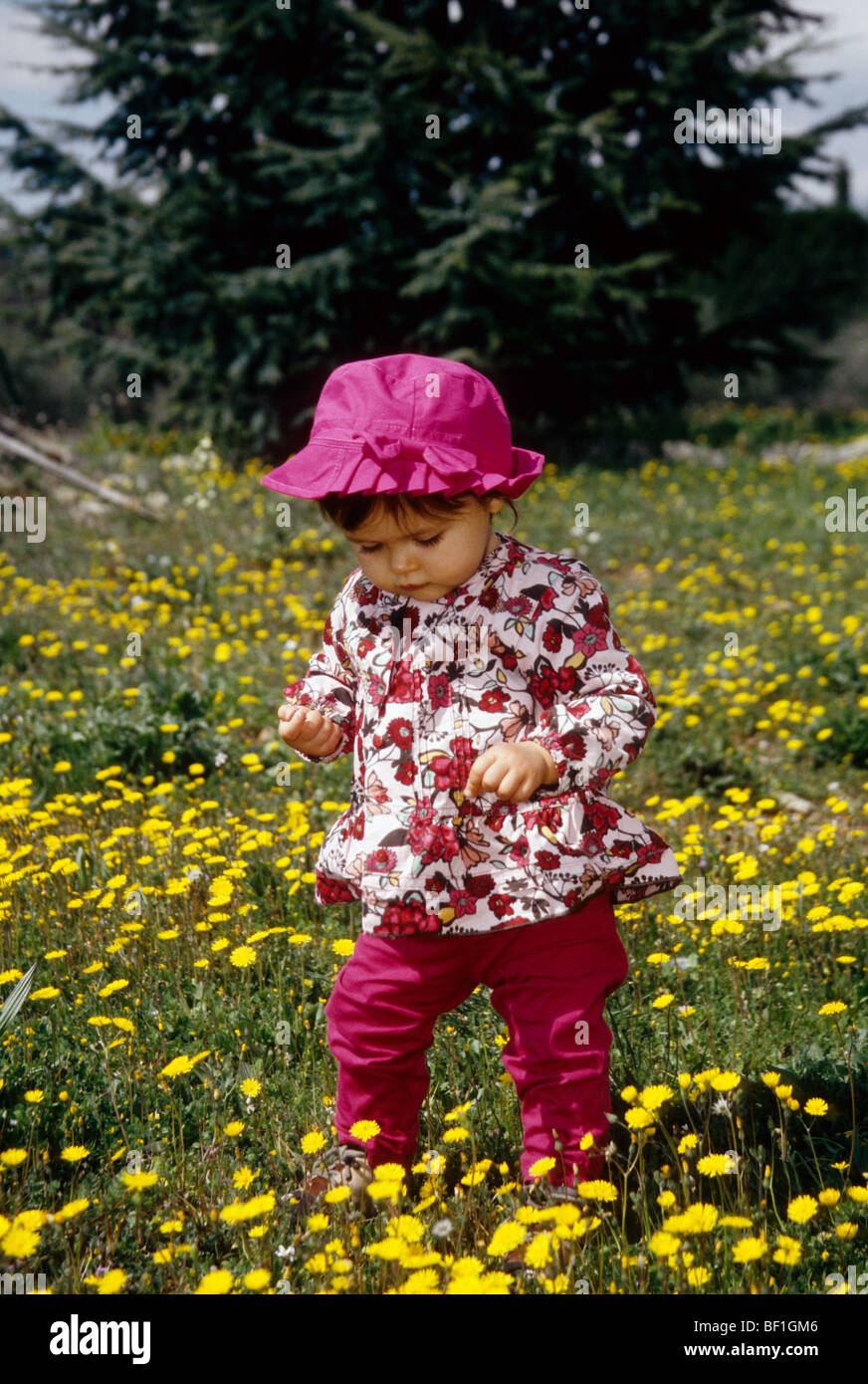 Faustine 16 months old playing in a yellow wild flower field Stock Photo