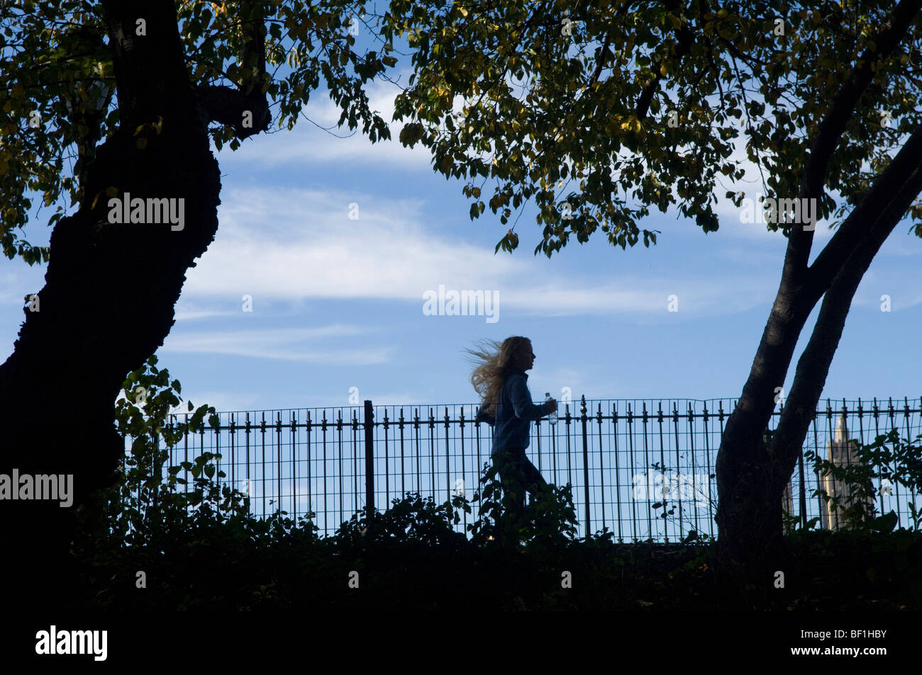 Jogging along the path around the reservoir in Central Park on Sunday, October 25, 2009. (© Frances M. Roberts) Stock Photo