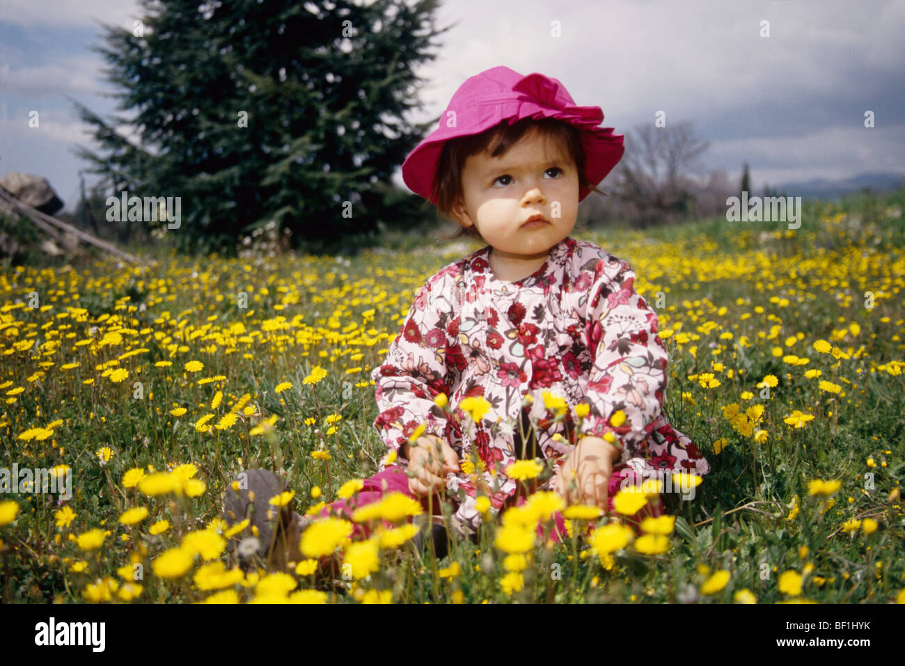 Faustine 16 months old in a wild yellow flower field Stock Photo