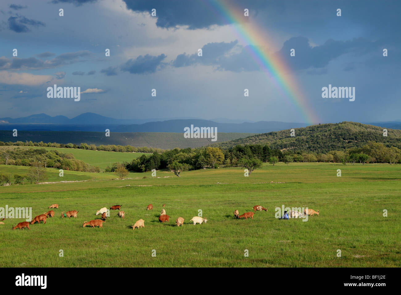 Rainbow above the Provence countryside Stock Photo