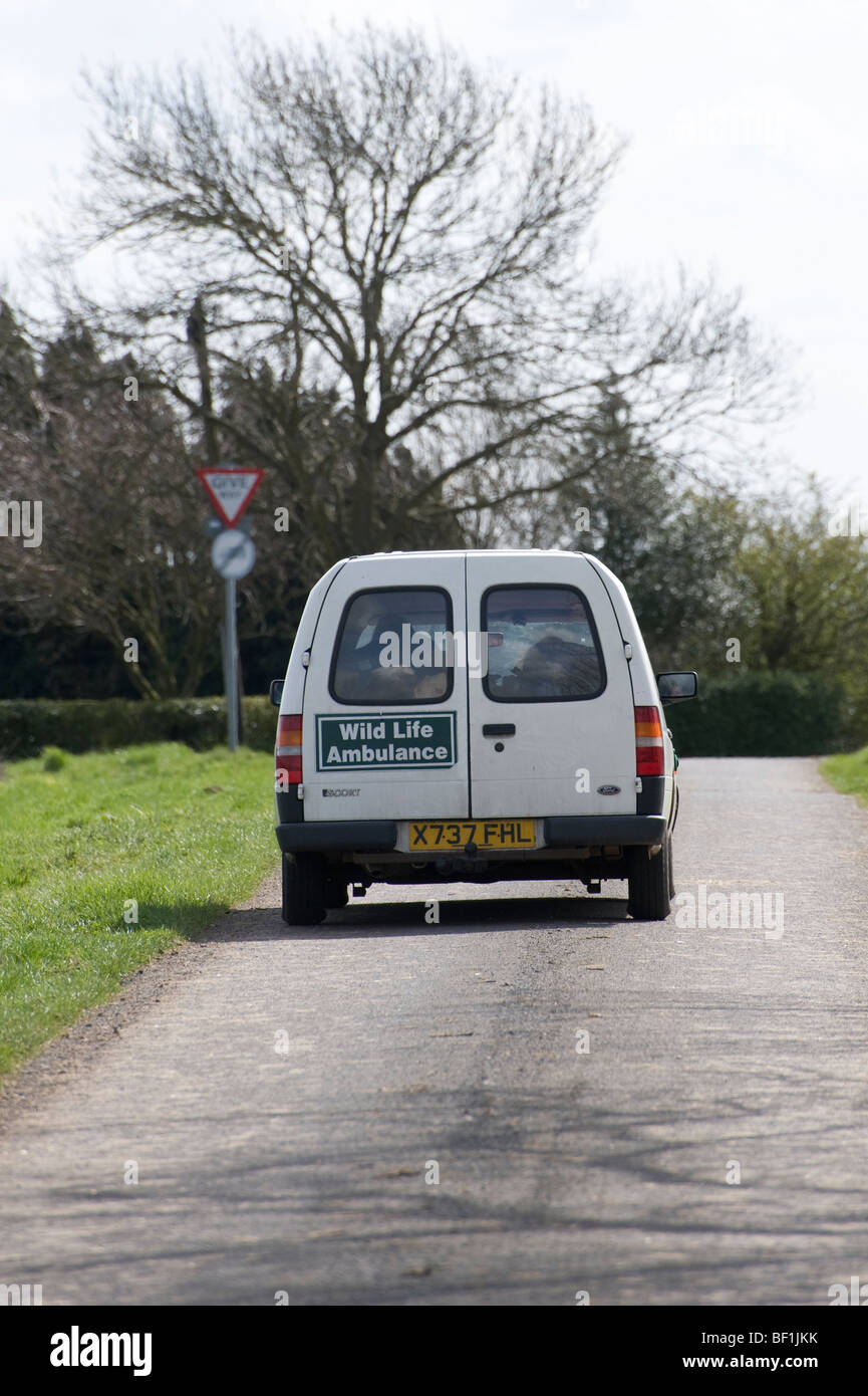 Rear view of a wildlife ambulance travelling along a road in England. Stock Photo