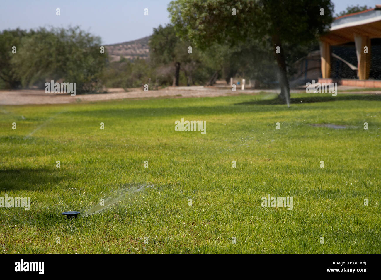 garden grass water sprinkler spraying water over grass in hot weather