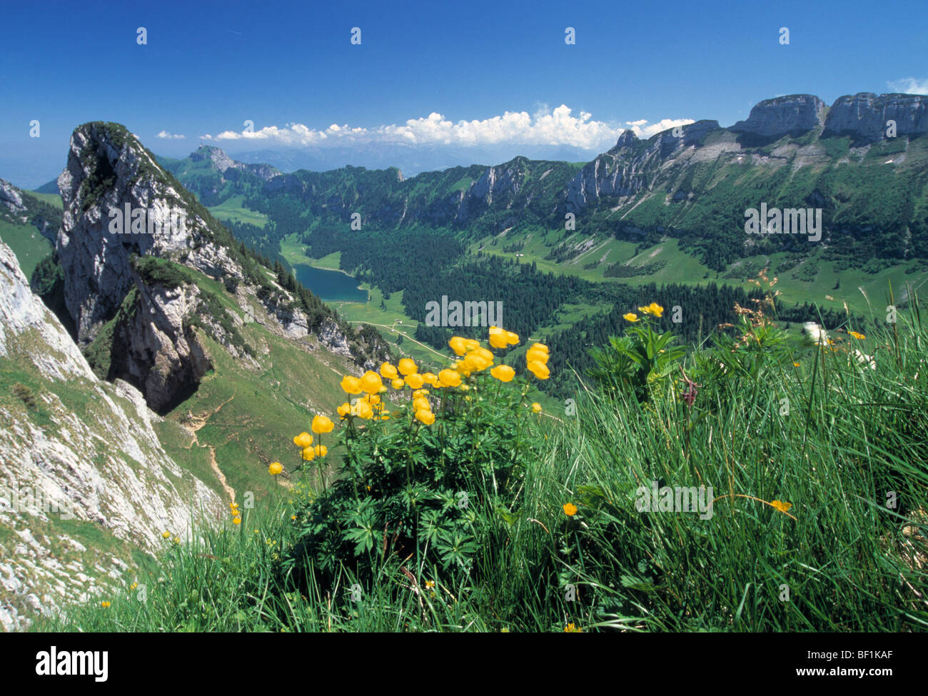 switzerland, alps, appenzeller alpen, hoher kasten kette, mountains Stock  Photo - Alamy