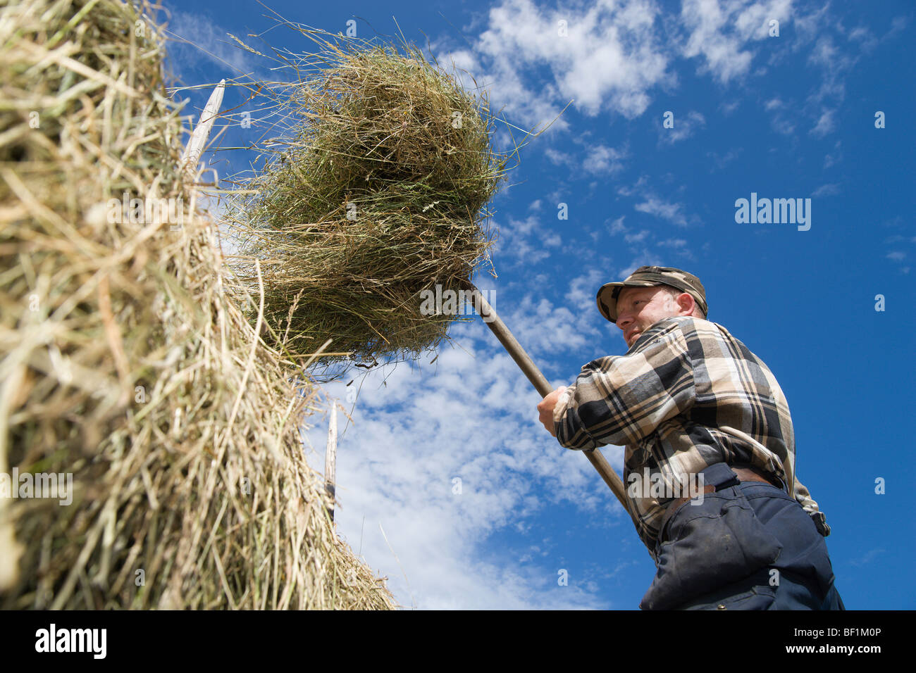 Drying hay hires stock photography and images Alamy