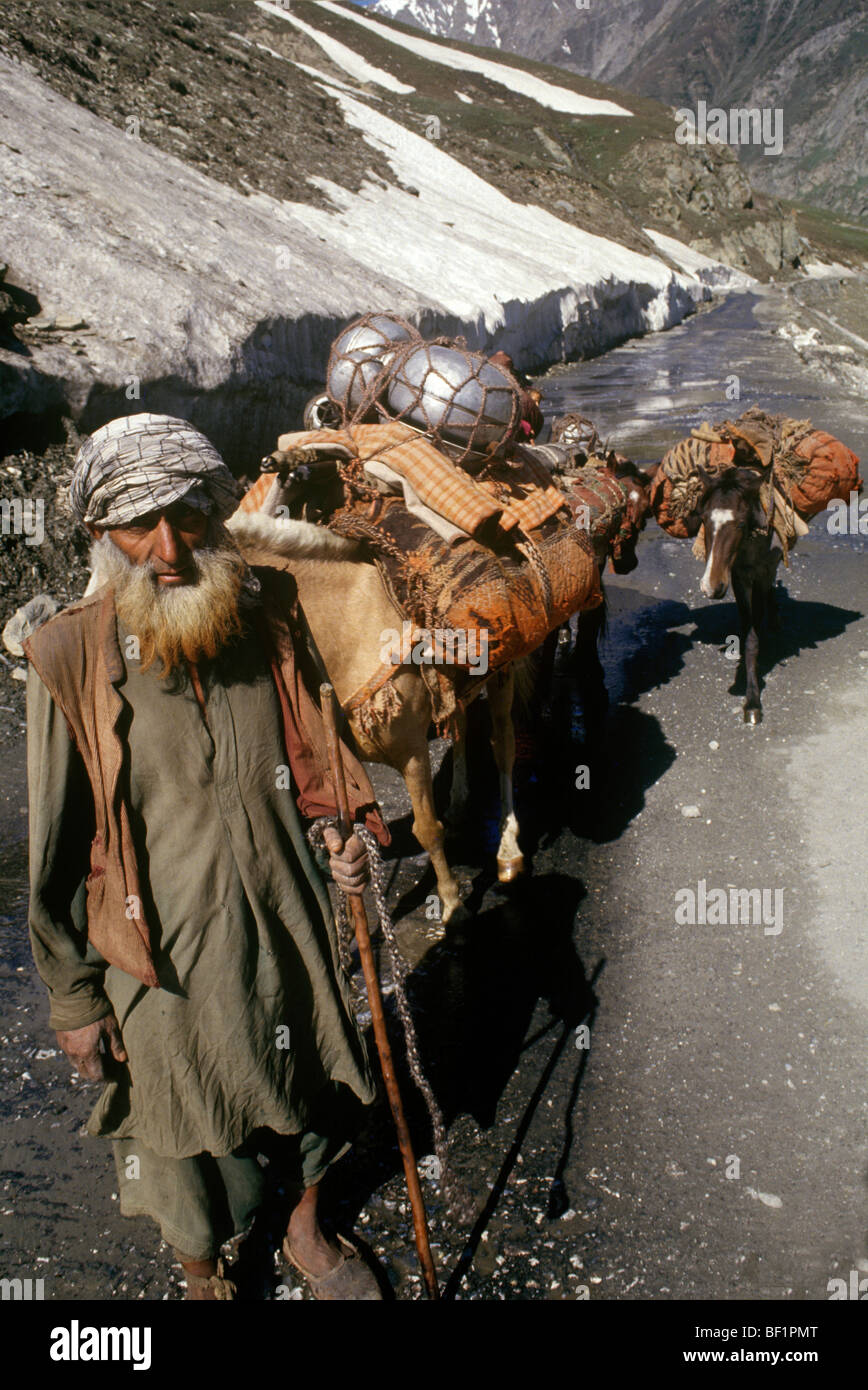 Itinerant family high in the Himalayas Stock Photo