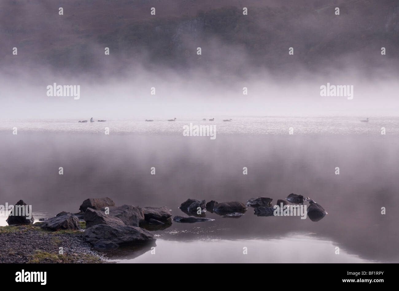 Early morning  mist rising from the surface of Derwentwater, Cumbria. Stock Photo