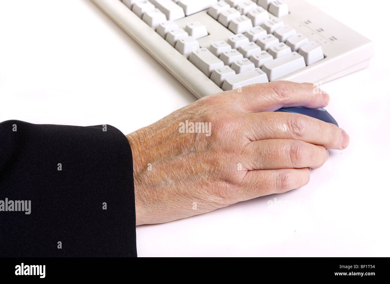 Knobbly joints hires stock photography and images Alamy