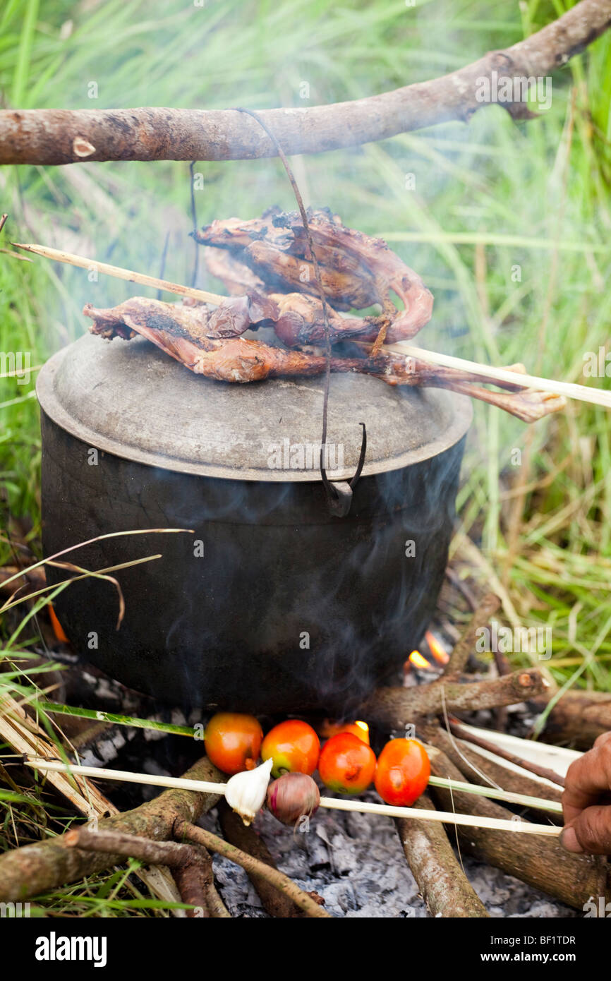Cooking chicken tomatoes and a stew on an open fire. Iloilo Philippines Stock Photo