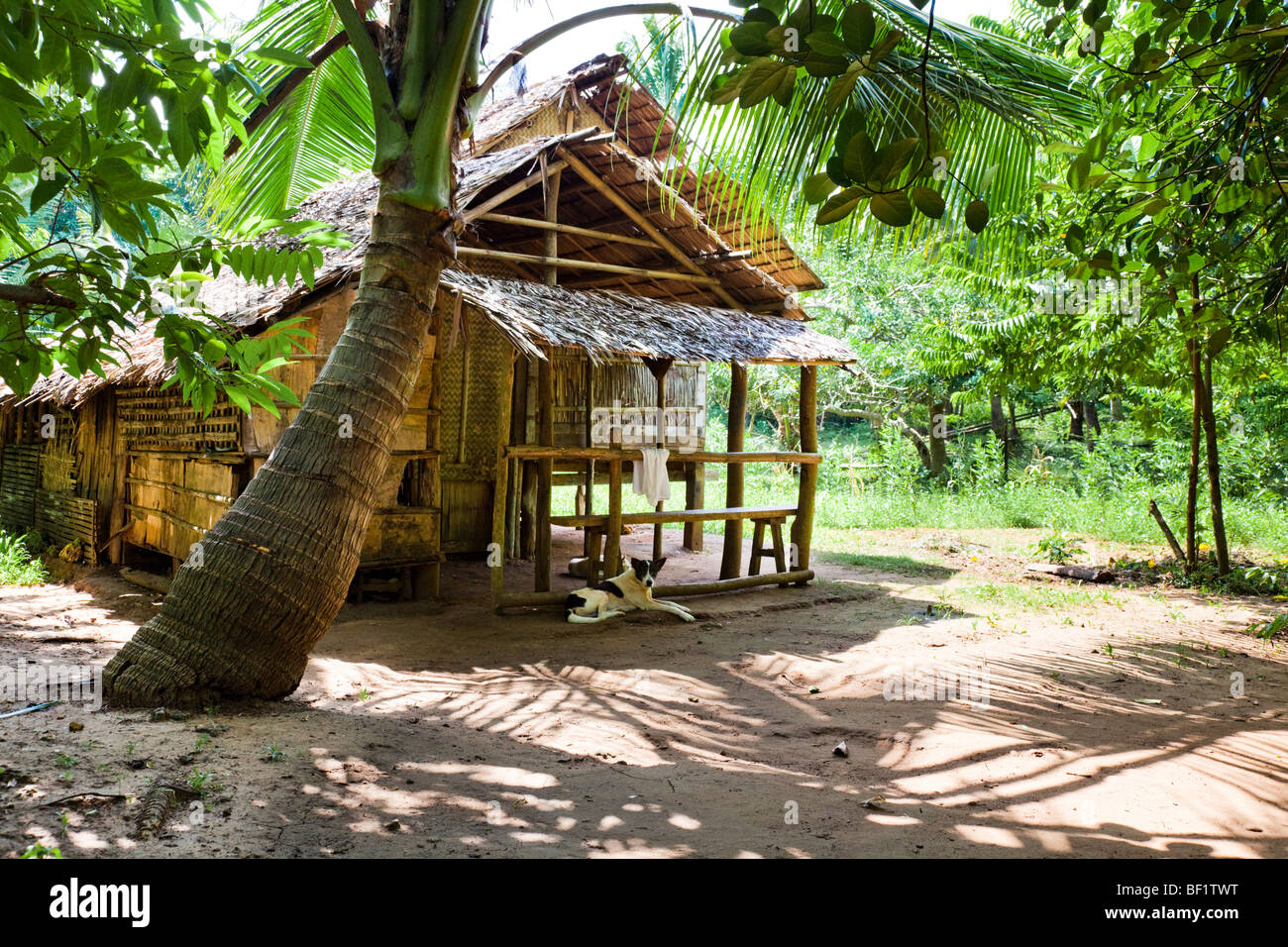 House constructed from bamboo canes. Guimaras Island Philippines Stock