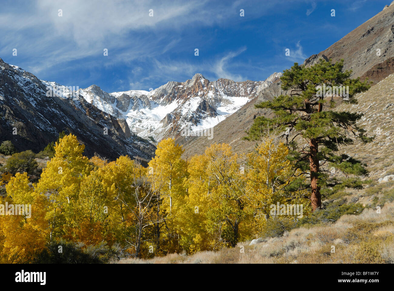 Autumn vista in McGee Creek valley, Sierra Nevada Mountains, California Stock Photo