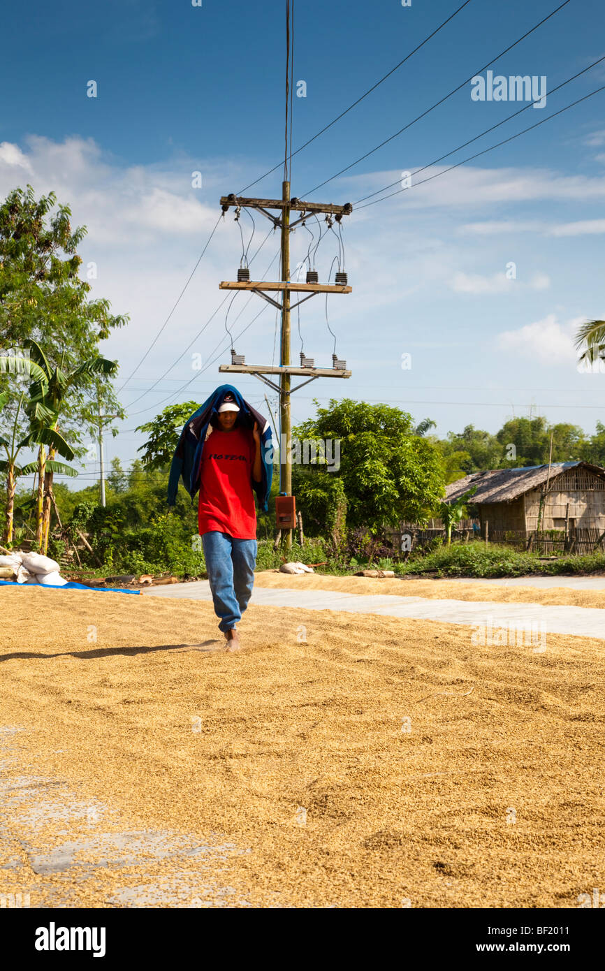 A Filipino worker turns over rice as it dries. Iloilo Philippines Stock Photo