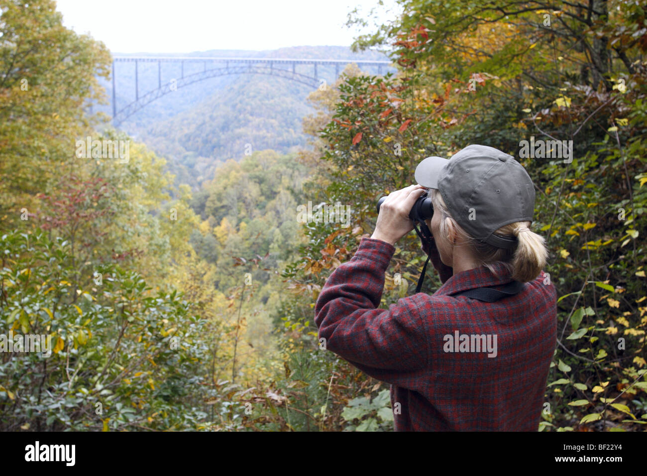 Birdwatcher with Binoculars at New River Gorge - West Virginia Stock Photo