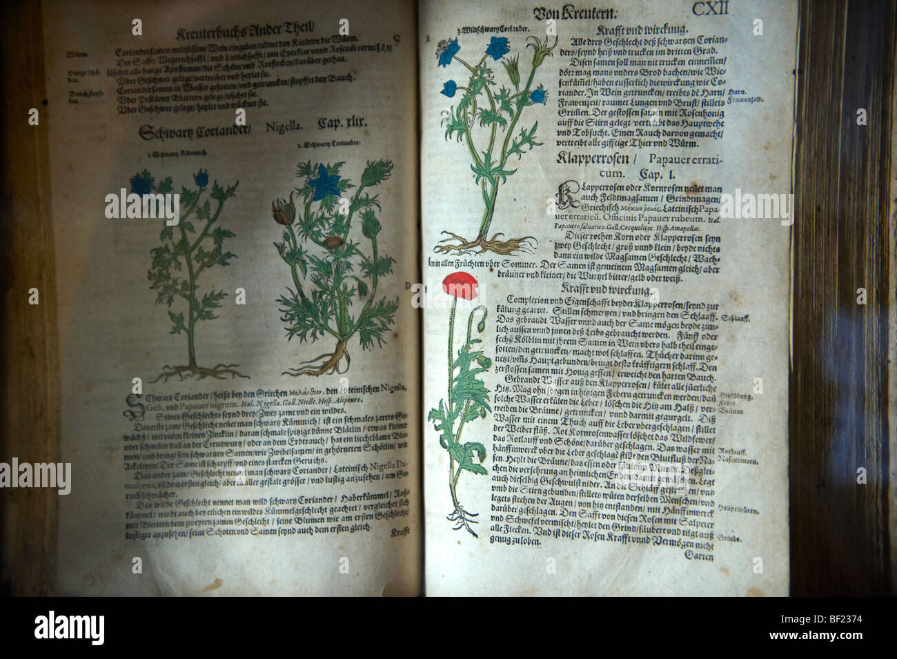 Old herbal remedy recipe book. The Old Pharmacy museum - Sopron, Hungary Stock Photo