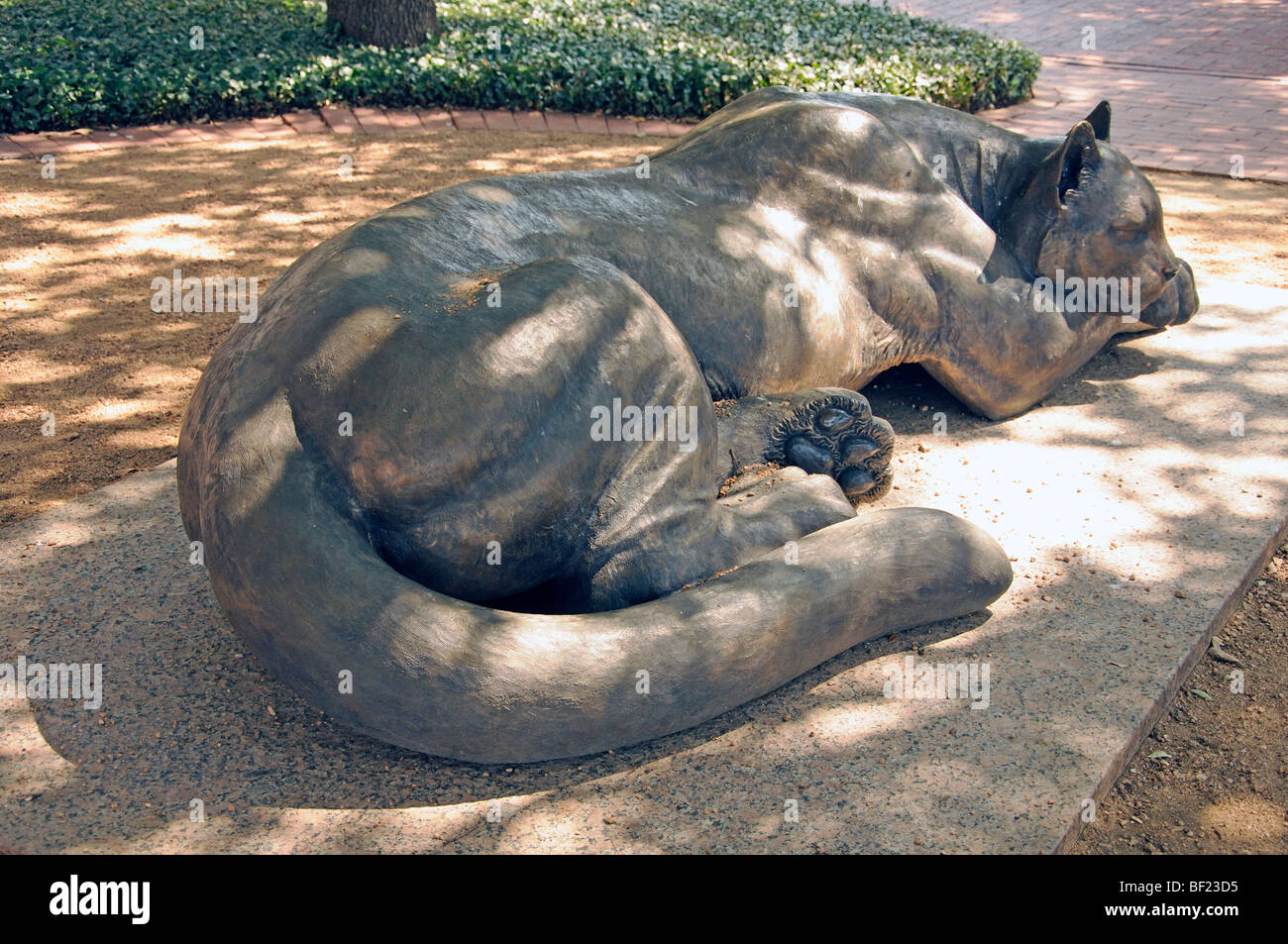 Sleeping panther statue fort worth texas hi-res stock photography and