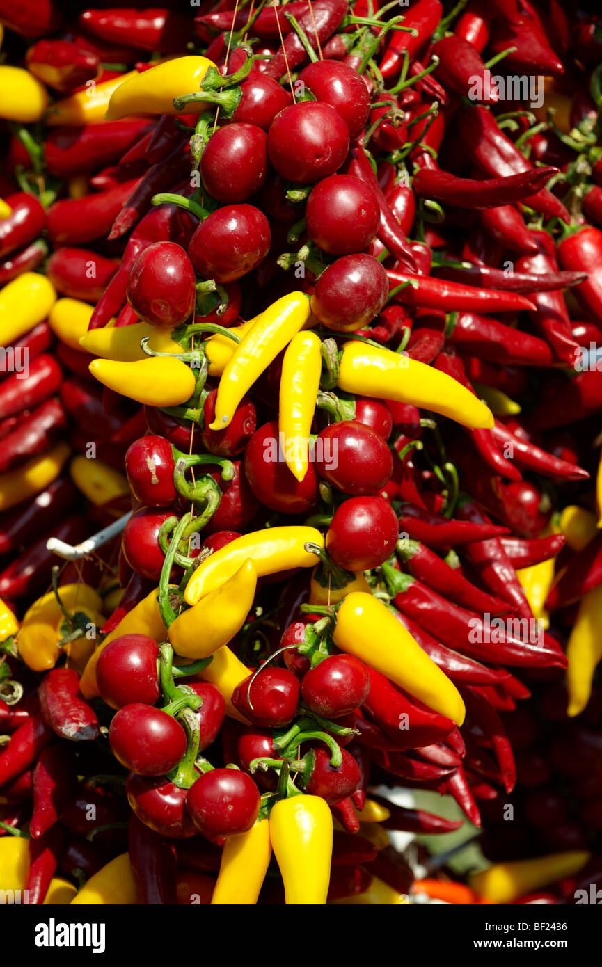 Dried paprika chillies hires stock photography and images Alamy
