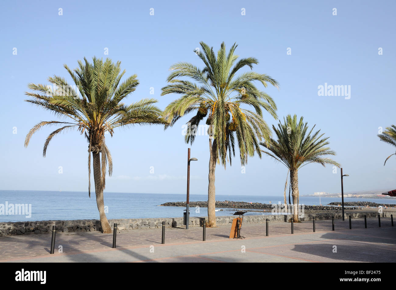 Promenade in Las Americas, Canary Island Tenerife, Spain Stock Photo