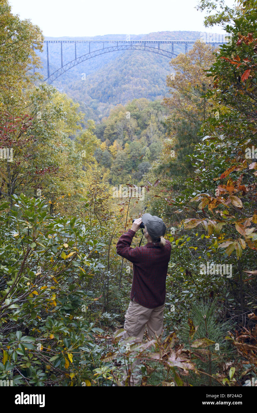 Birdwatcher with Binoculars at New River Gorge - West Virginia - Vertical Stock Photo