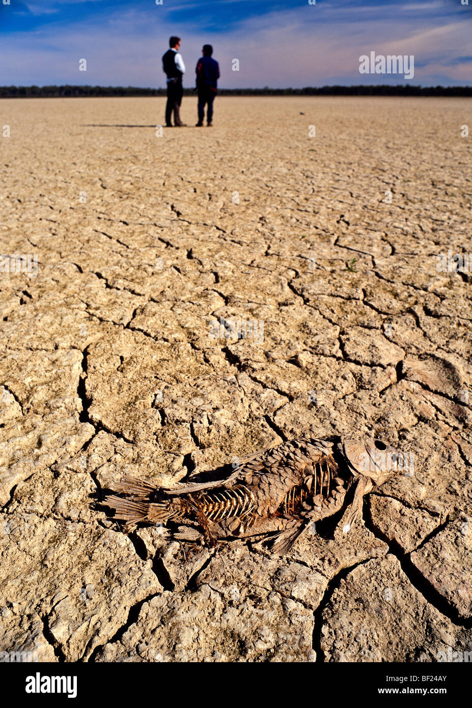 dry lakebed during drought Australia Stock Photo