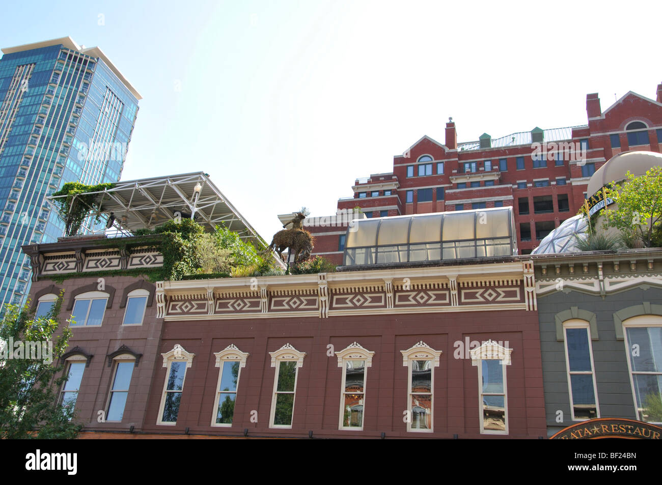 Rooftop restaurant, Fort Worth, Texas Stock Photo Alamy