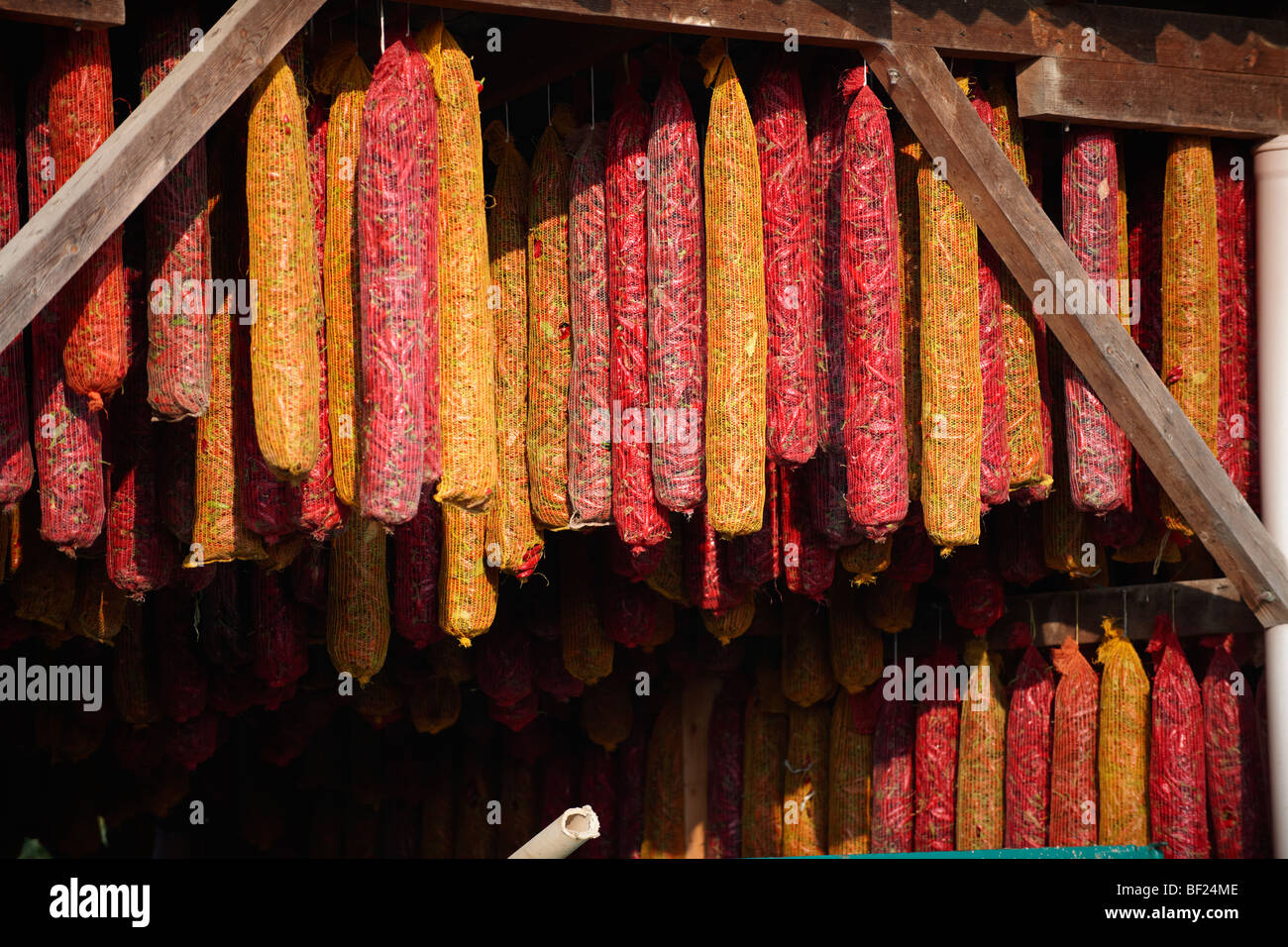 Capsicum annuum or chili peppers air drying to make Hungarian paprika - Kalocsa Hungary Stock Photo